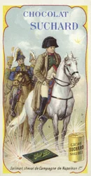 Soliman, War Horse of Napoleon